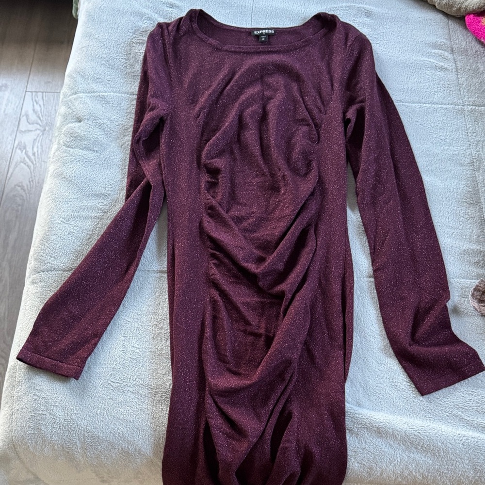Express Deep Purple Long Sleeve Dress